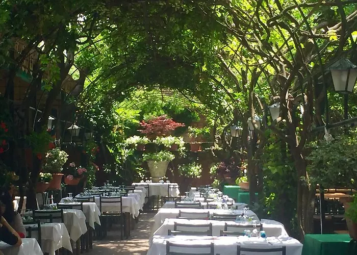 Antica Montin Venedik